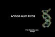 Ácidos Nucleicos (DNA e RNA)