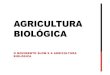 O movimento slow e a Agricultura Biológica