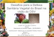 I WSF, Brasília - Cósam de Carvalho Coutinho - Desafios para a Defesa Sanitária Vegetal do Brasil na visão do DSV