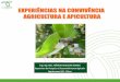 Márcio Soares - Experiência Na Convivência Agricultura e Apicultura