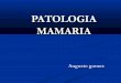 patologia mamaria