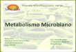Metabolismo Microbiano - Trabalho de Microbiologia