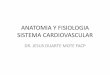Anatomia y fisiologia sistema cardiovascular