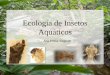 Ecologia de insetos