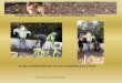 Projeto; Horta Pedagógica/Permacultura - Agenda XXI -   J.I. e EB1 do Telhado