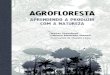 Agrofloresta aprendendoaproduzircomanatureza-140624191451-phpapp02