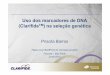 08 - Uso dos marcadores de DNA Clarifide como ferramenta para selecionar animais melhoradores - Priscila Barros - Pfizer
