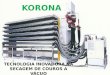 Vácuo Korona: tecnologia inovadora de secagem a baixa temperatura com eficiência energética