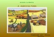 1.agricultura 1 conceitos_2010-2011