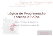 Lógica de Programação - Entrada/saída de dados
