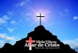 Minha Vida No Altar De Cristo - O Encontro de Zaqueu