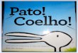 Pato - Coelho