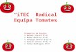 I tec radical-equipa-tomates