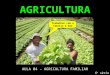 Agricultura   aula 04 - agricultura familiar12820092311