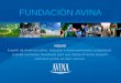 Apresentação Fundación Avina - Institucional