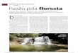 Paixão  pela floresta, América Economía Brasil março 2013