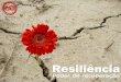 Apresentação final pv resiliencia_2013