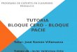 Bloque PACIE- Bloque 0