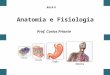 Fisiologia e Anatomia Básica