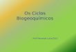 Os Ciclos da Mat©ria: ciclos biogeoqu­micos