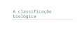 Biologia 1-aula-1-classificao-biologica