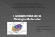 Fundamentos de la Biologia Molecular