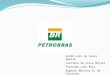 Trabalho Mkt Público (BR Petrobras)