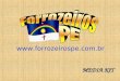 Media Kit - Site ForrozeirosPE.com.br