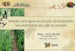 Omar rocha - palestra IX Simpósio de Pesquisa dos Cafés do Brasil