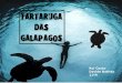 Tartarugas das Galápagos