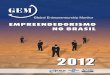 Empreendedorismo no brasil   2012