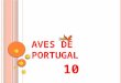 Aves de portugal 10