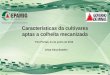 Características de cultivares aptas à colheita mecanizada – César Elias Botelho (EPAMIG) / Simpósio de Mecanização da Lavoura Cafeeira – Expocafé 2013