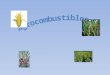 Agrocombustibles final