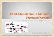 Metabolismo celular - FOTOSSÍNTESE