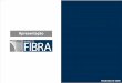 Banco Fibra - Apresentação sobre os Resultados de 2006