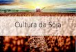 Cultura da Soja
