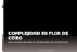 Complejidad en flor de ceibo2012pptx
