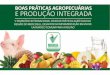 Ricardo Machado - “Registro, pesquisa e desenvolvimento de bioinsumos” - Boas Práticas Agropecuárias e Produção Integrada - De 11 a 14 de novembro de 2014, em Foz do Iguaçu/PR