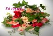 61328 9 rosas-_1_
