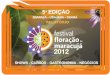 Relatorio Festival Floração do Maracujá 2012