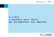 Programa Empresarial BLUEBIZ - AIRFRANCE KLM e ALITALIA