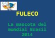 Fuleco la mascota del mundial Brasil 2014
