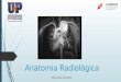 Anatomia radiologica-aula-introdutoria