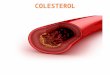 Colesterol matheus bueno