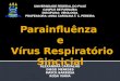 Parainfluênza e Vírus Respiratório Sincicial