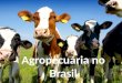 Agropecuaria no brasil