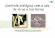 Ems baculovirus bt_fernando_valicente