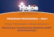 Formação em mentoring e coaching holo sistêmico isor (holomentoring) - resumido 7 slides