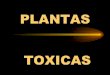 Toxicologia de las plantas